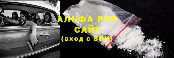 индика Верея
