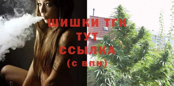 индика Верея