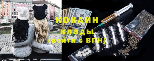 индика Верея