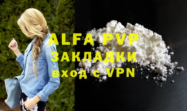 индика Верея