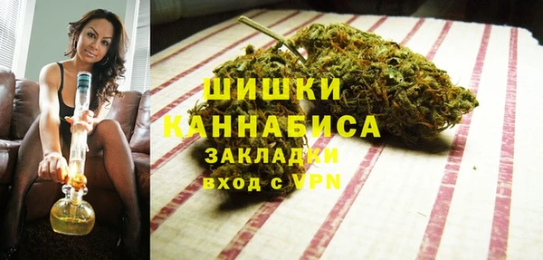 стафф Верхний Тагил