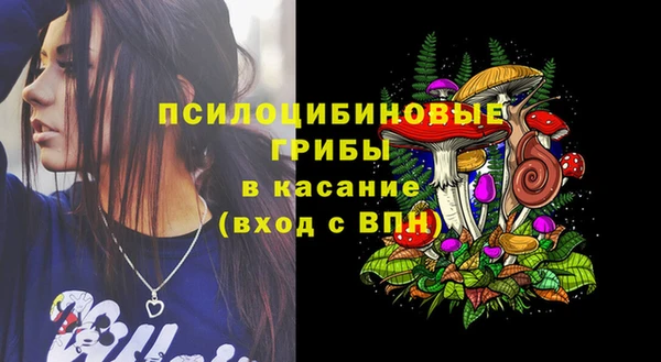 индика Верея
