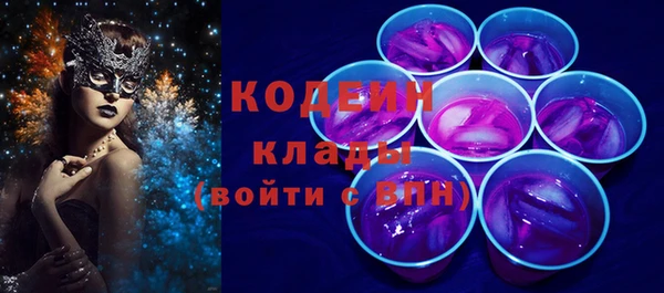 индика Верея